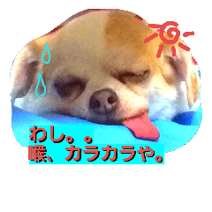 [LINEスタンプ] ベロ犬ジャギさん