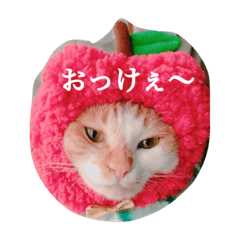 [LINEスタンプ] ぽんとみー