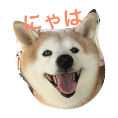 [LINEスタンプ] soraco