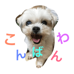 [LINEスタンプ] tsukune is happy
