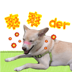 [LINEスタンプ] Crazy party of pretty doggy