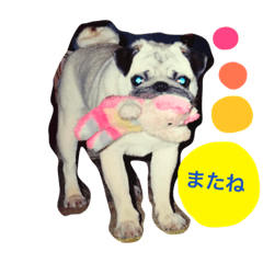 [LINEスタンプ] いぬのテツ