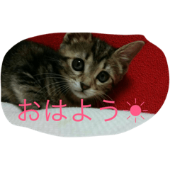 [LINEスタンプ] 0501m
