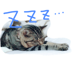 [LINEスタンプ] ちろるのほのぼの♡