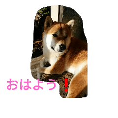[LINEスタンプ] 私の家族くう