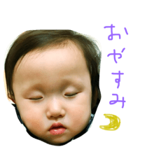 [LINEスタンプ] きこちゃんの日常