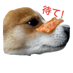 [LINEスタンプ] メルたん