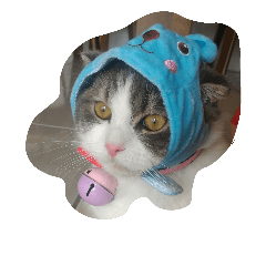[LINEスタンプ] Calpis Cat