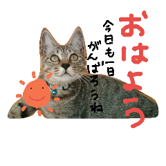 [LINEスタンプ] ボブとエマ