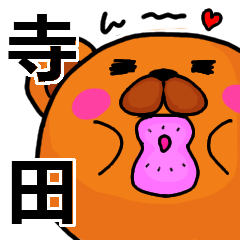 [LINEスタンプ] 寺田より愛を込めて（名前スタンプ）