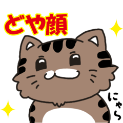 [LINEスタンプ] もふっねこ2