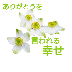 [LINEスタンプ] お礼。感謝。挨拶。