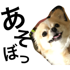 [LINEスタンプ] しあくん2