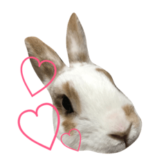 [LINEスタンプ] じろうさん