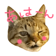 [LINEスタンプ] Moooooo