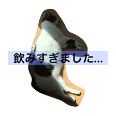 [LINEスタンプ] cat tanpopo