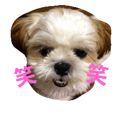 [LINEスタンプ] meron 0905