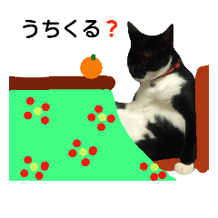 [LINEスタンプ] コロンボ君が行く