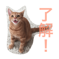 [LINEスタンプ] まるちゃん＆ぽるぽる