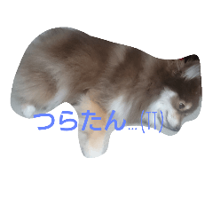 [LINEスタンプ] Ponsuke0829
