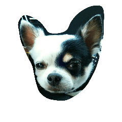 [LINEスタンプ] (+.+)(-.-)(_ _)..zzZZ