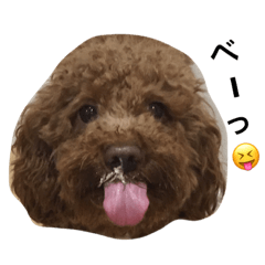 [LINEスタンプ] nameko  kuromame2