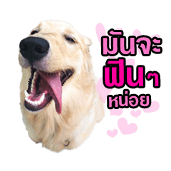 [LINEスタンプ] GC-Maataywadaa