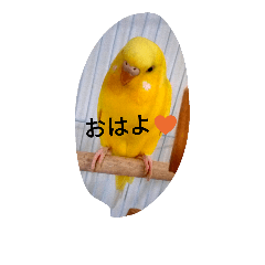[LINEスタンプ] dairy birds