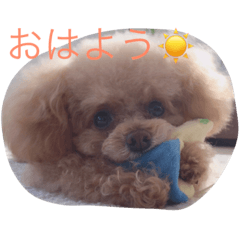 [LINEスタンプ] アンジュのあいさつ