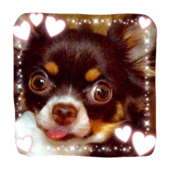 [LINEスタンプ] ラブワンラブ