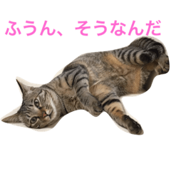 [LINEスタンプ] cute mugi