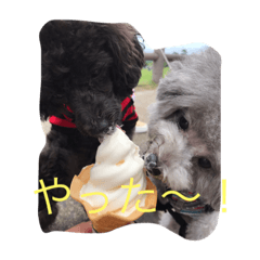 [LINEスタンプ] こごま ＆ イヴ