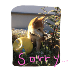 [LINEスタンプ] わんだょん