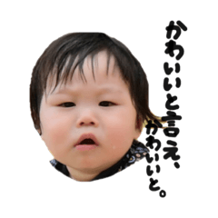 [LINEスタンプ] ハクたんスタンプ