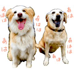 [LINEスタンプ] スズセリミジカ