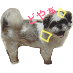 [LINEスタンプ] れお ヒメ ぽん太