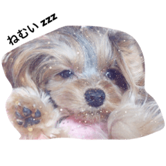 [LINEスタンプ] SHERIE