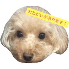 [LINEスタンプ] せなもこもな