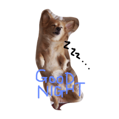 [LINEスタンプ] ネロマロ