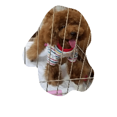 [LINEスタンプ] わんわんせぶん