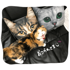 [LINEスタンプ] AJienonitijyou