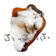 [LINEスタンプ] mame.pon.reo.azu