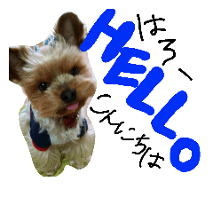 [LINEスタンプ] 五右衛門くん