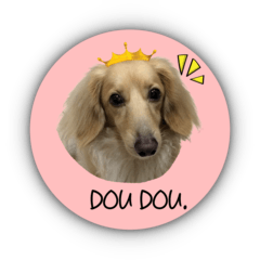 [LINEスタンプ] Doudou the sausage dog