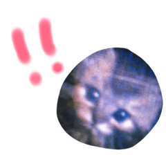 [LINEスタンプ] ねこ♪