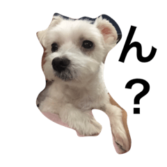 [LINEスタンプ] みるたん