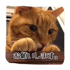 [LINEスタンプ] テキ様♡すたんぷ