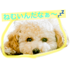 [LINEスタンプ] あいどる Peco part.1