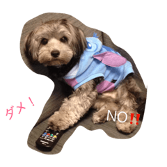 [LINEスタンプ] ホクのつぶやき