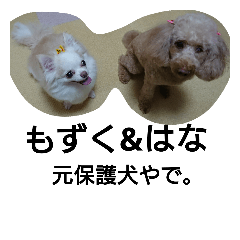 [LINEスタンプ] 元保護犬のもずく＆はな